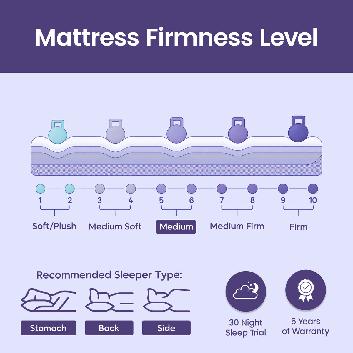 Asra Luxury Pillow Top Bonnell Spring Mattress